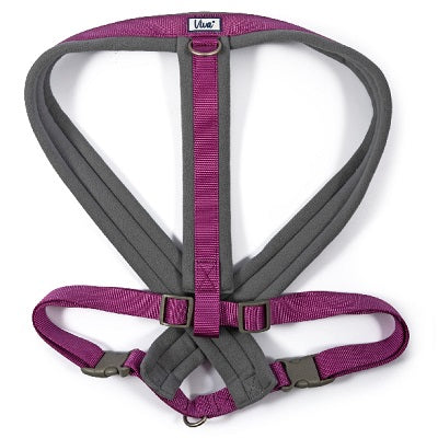 Ancol Viva Pad Harness