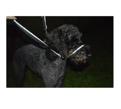 Gencon All In1 Clip to Collar