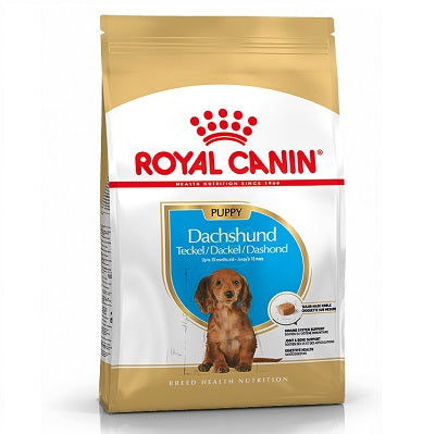 RC Dachshund Puppy 1.5 kg
