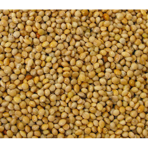 VL Milletseed Yellow 25 kg