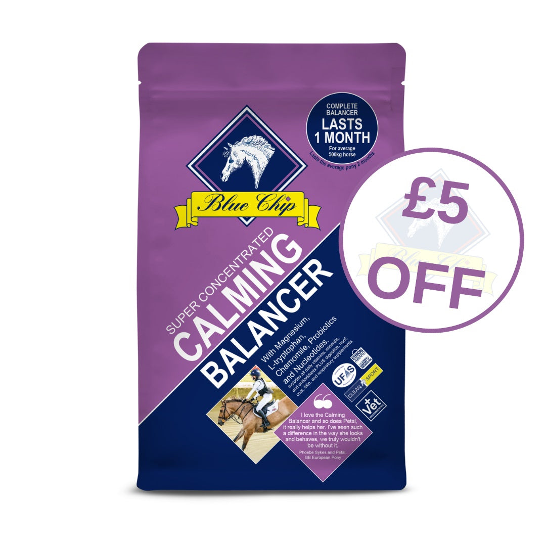 Blue Chip SC Calming Balancer £5 off