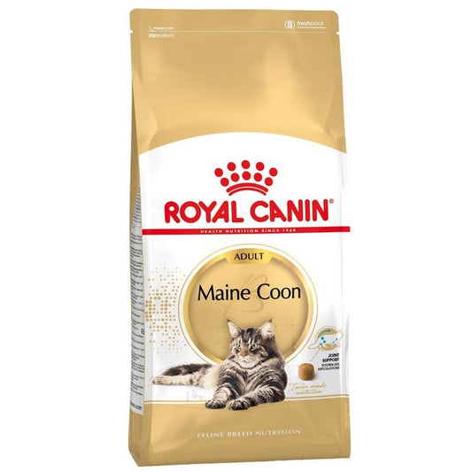 Royal Canin Maine Coon
