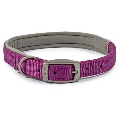 Ancol Viva Padded Buckle Collar