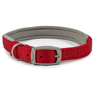 Ancol Viva Padded Buckle Collar