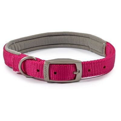 Ancol Viva Padded Buckle Collar