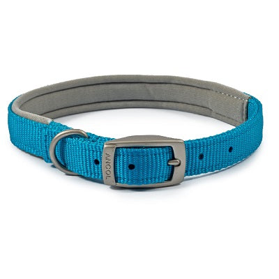 Ancol Viva Padded Buckle Collar