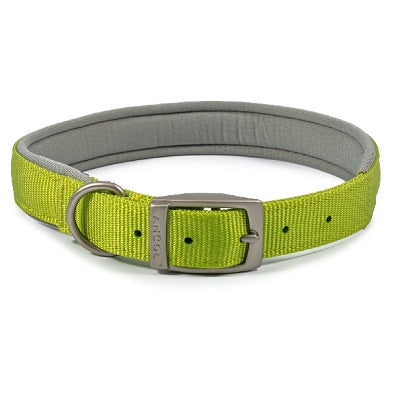Ancol Viva Padded Buckle Collar