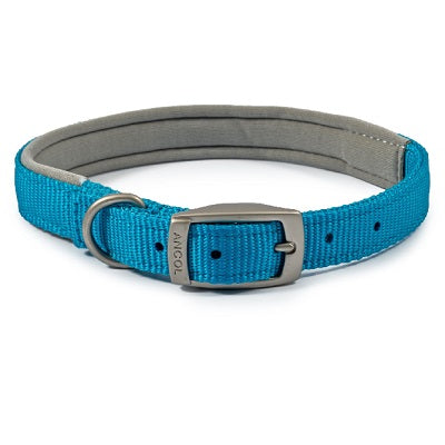 Ancol Viva Padded Buckle Collar