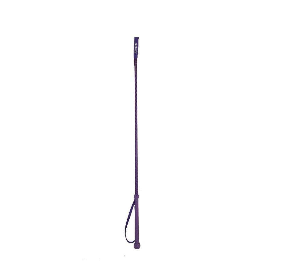 Hy School Riding Whip