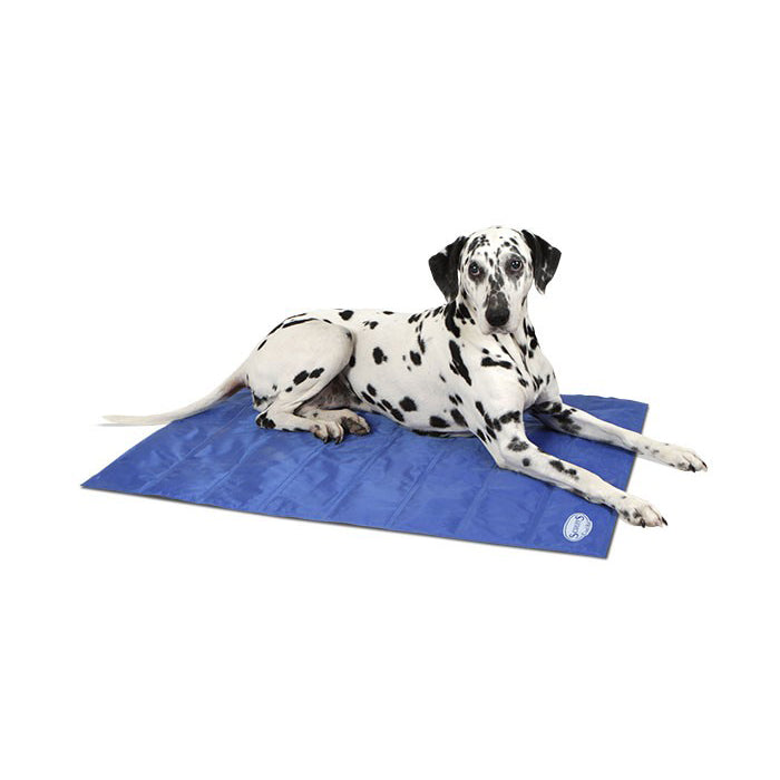 Scruffs Cool Mat Blue