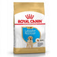 RC Labrador Retriever Puppy 3 kg