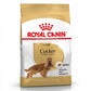 RC Cocker Spaniel 3 kg