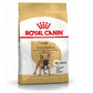 RC French Bulldog 3 kg