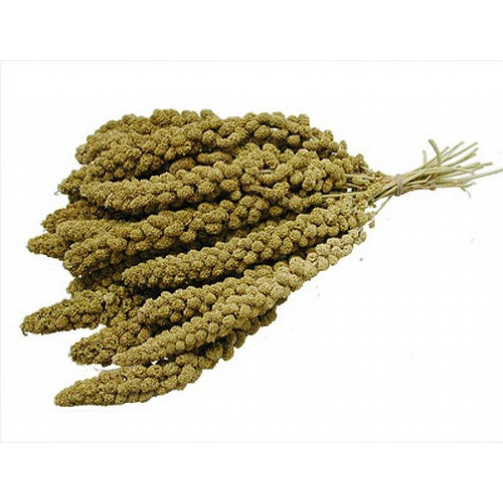 VL Milletsprays Chinese Yellow 15 kg