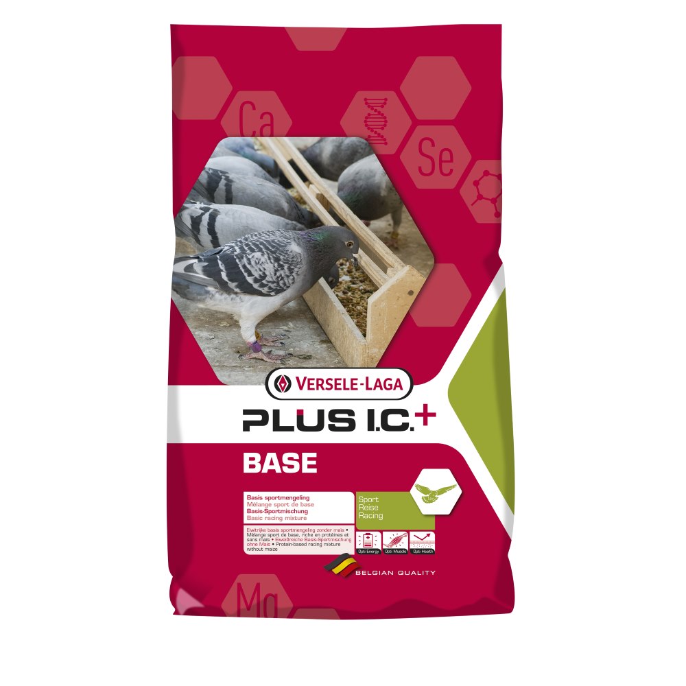 VL Base Plus I.C. 20 kg