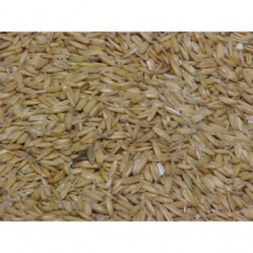 Whole Oats 20 kg