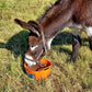 DK Equine Flexi Tub Turmeric 12.5kg