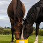 DK Equine Flexi Tub Garlic 12.5kg