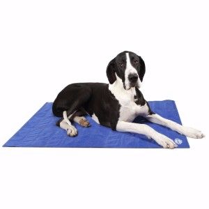Scruffs Cool Mat Blue