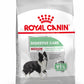RC Medium Digestive Care 3 kg