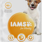 Iams Dog Senior Medium Chicken 12 kg