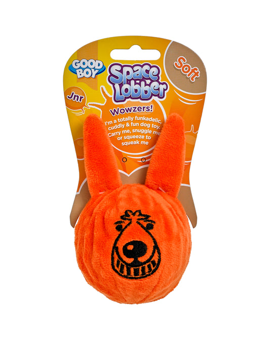 Good Boy Space Lobber Soft