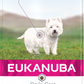 Eukanuba Adult DCare Sens Skin 12kg