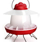 Feathers & Beaky Chicken Feeder
