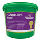 Global H Dandelion Root 1 kg