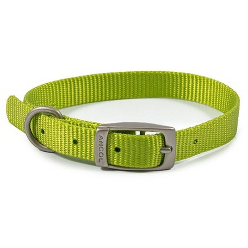 Ancol Viva Buckle Collars 20-26cm