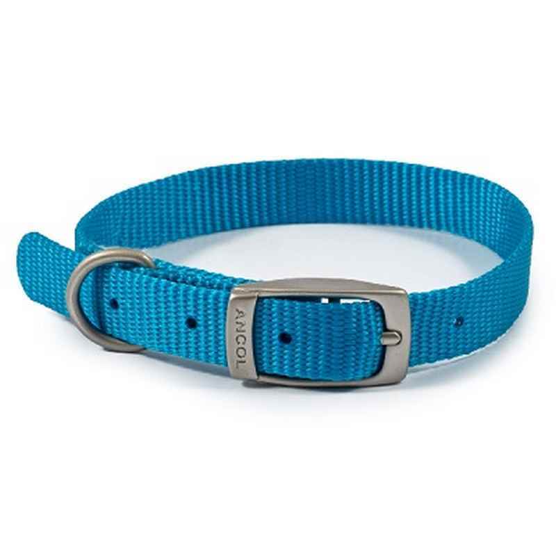 Ancol Viva Buckle Collars 20-26cm