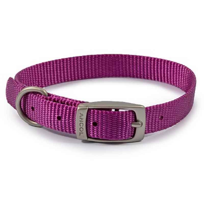 Ancol Viva Buckle Collars 20-26cm
