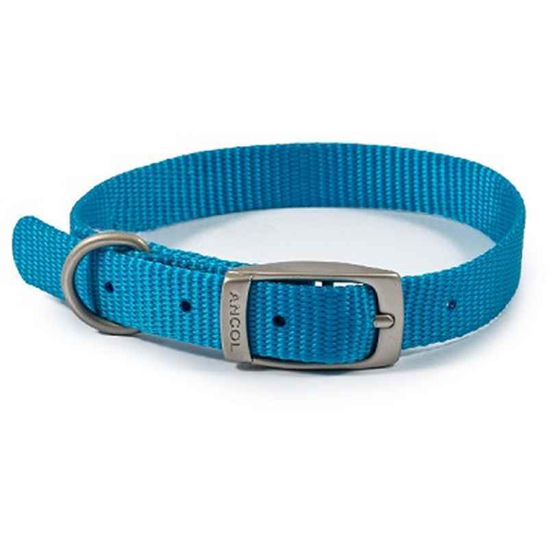 Ancol Viva Buckle Collar Blue