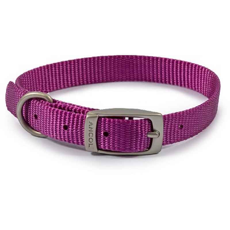 Ancol Viva Buckle Collar Purple