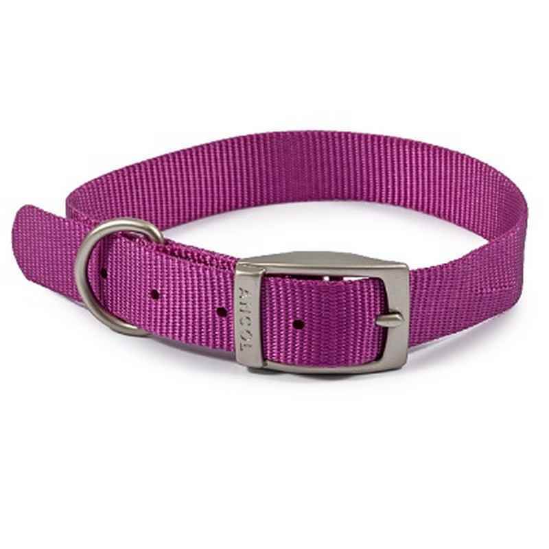 Ancol Viva Buckle Collar Purple