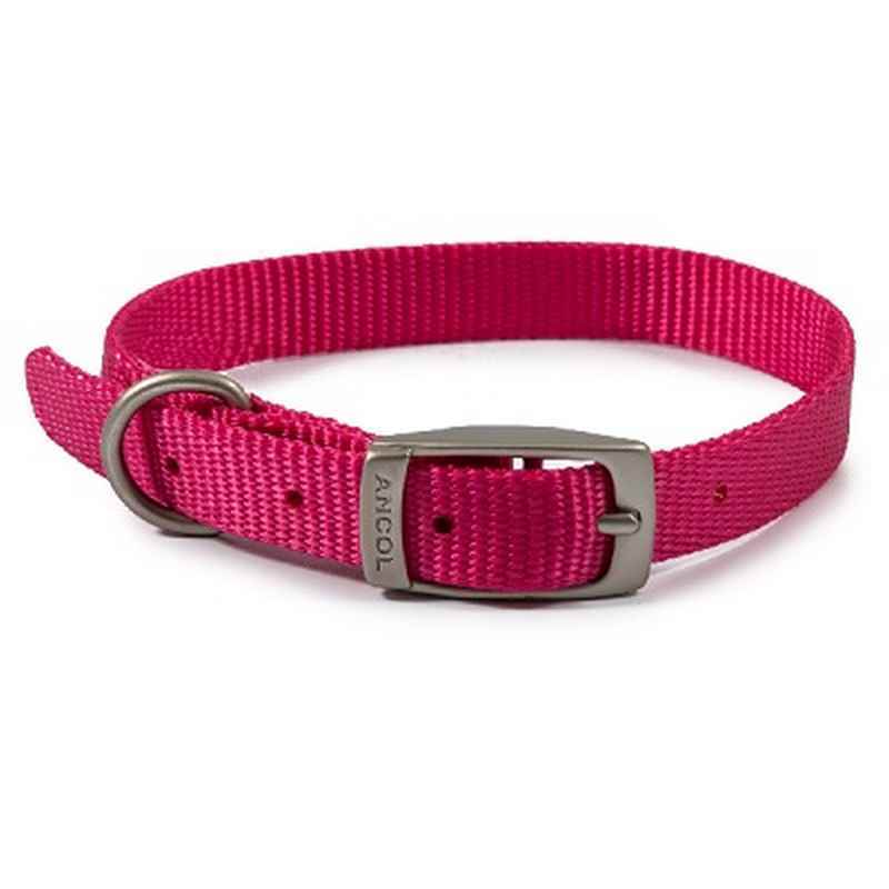 Ancol Viva Buckle Collar Pink
