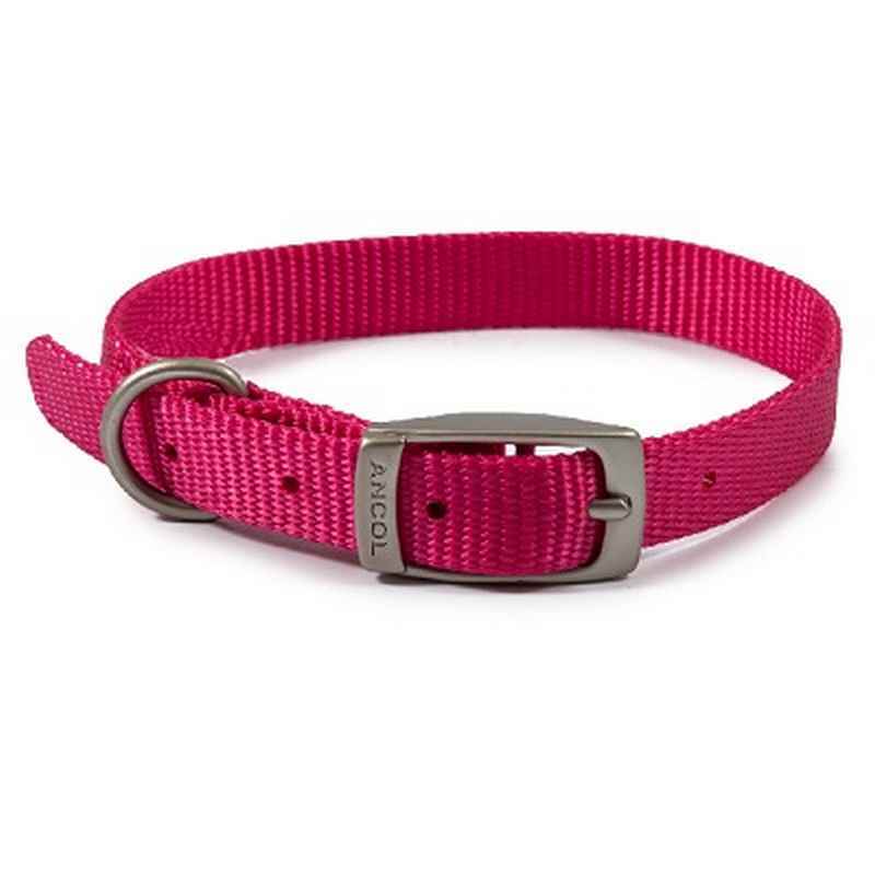 Ancol Viva Buckle Collar Pink
