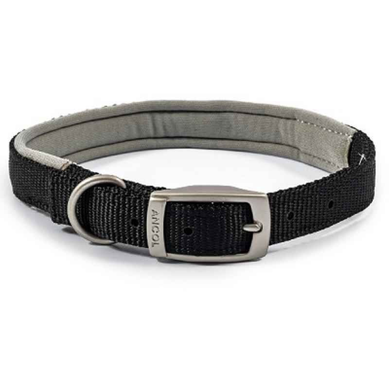 Ancol Viva Padded Buckle Collar 35-43cm
