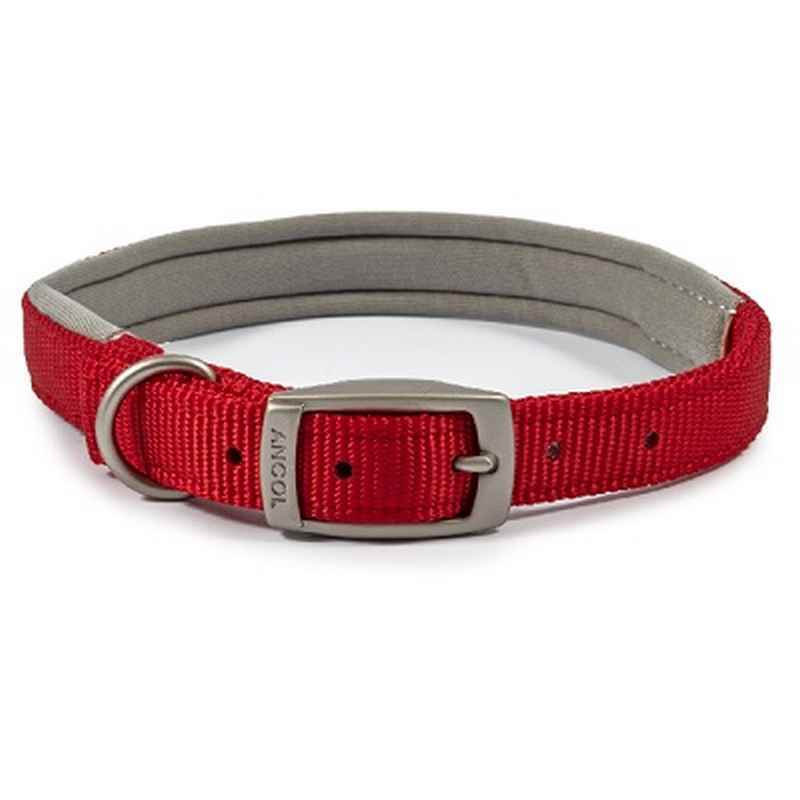 Ancol Viva Padded Buckle Collar 35-43cm