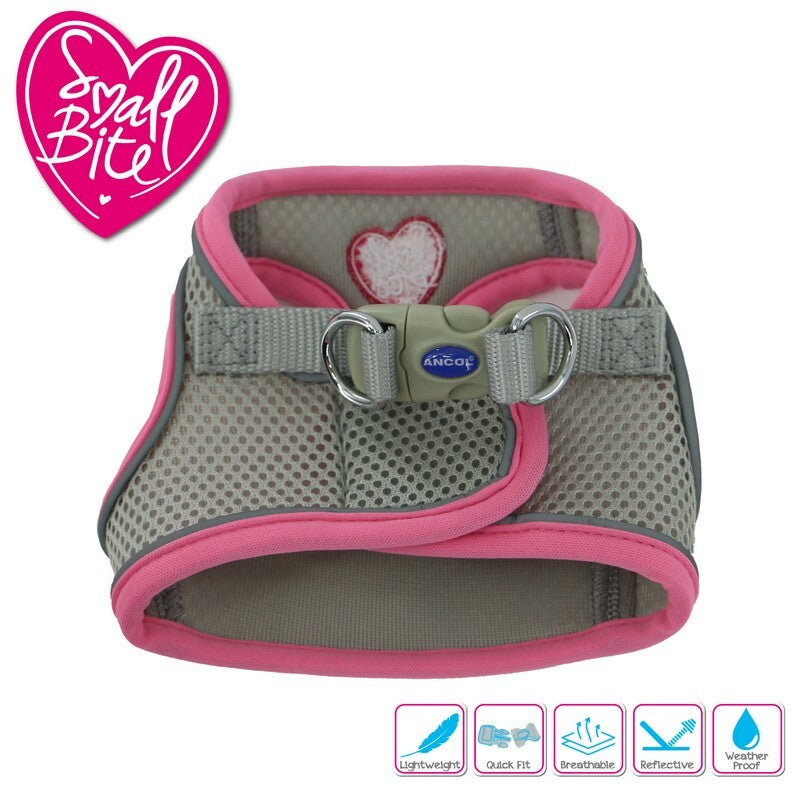 Ancol Small Bite Step in Harness 30-36cm