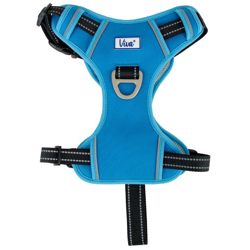 Ancol Viva Exercise & Travel Harness Blue