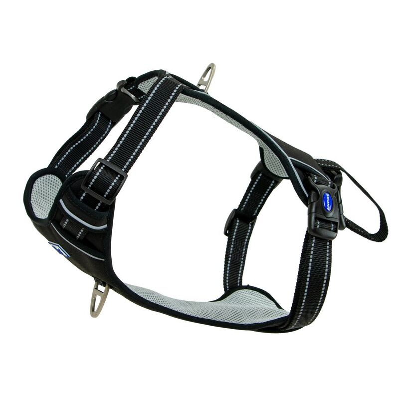Ancol Viva Exercise & Travel Harness Black