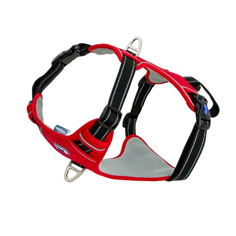 Ancol Viva Exercise & Travel Harness Red