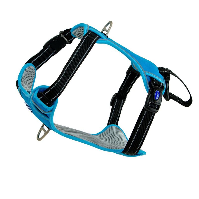 Ancol Viva Exercise & Travel Harness Blue