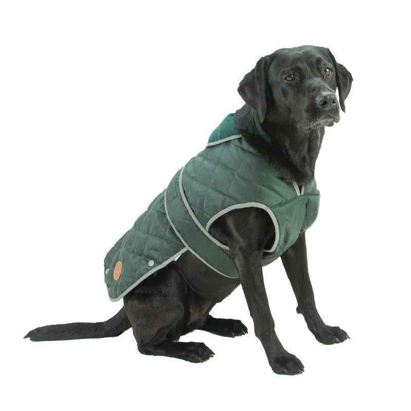 Ancol Heritage Quilted Green Coat