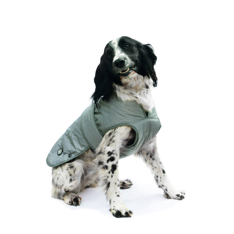 Ancol Stormguard Ultimate Reflective Dog Coat
