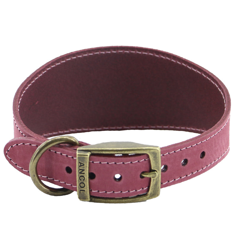 Ancol Heritage Collection Timberwolf Leather Greyhound Collar  34-43cm