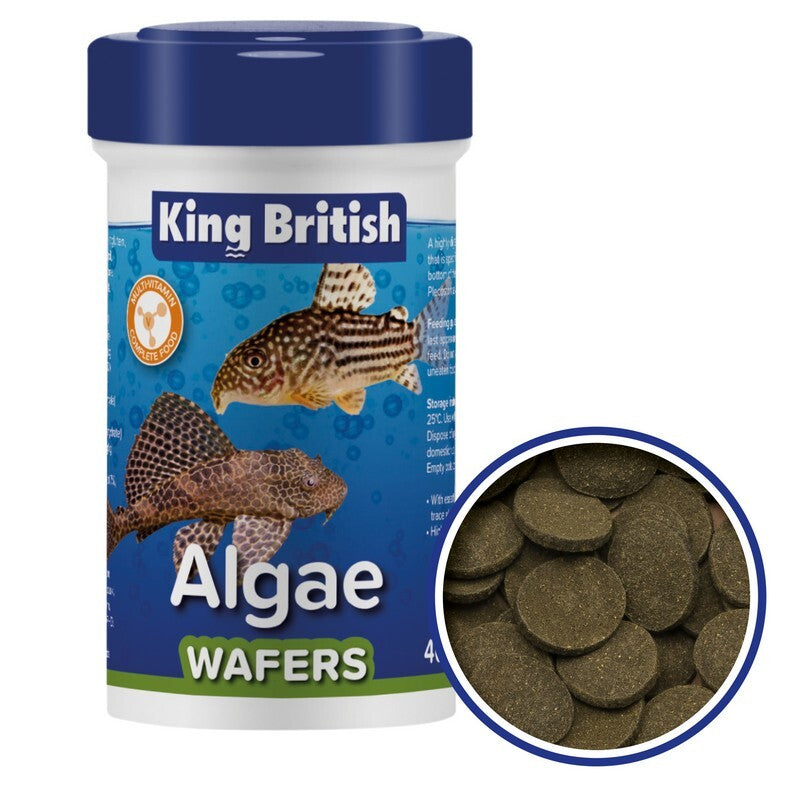 King B Algae Wafers (With IHB) 6x40g