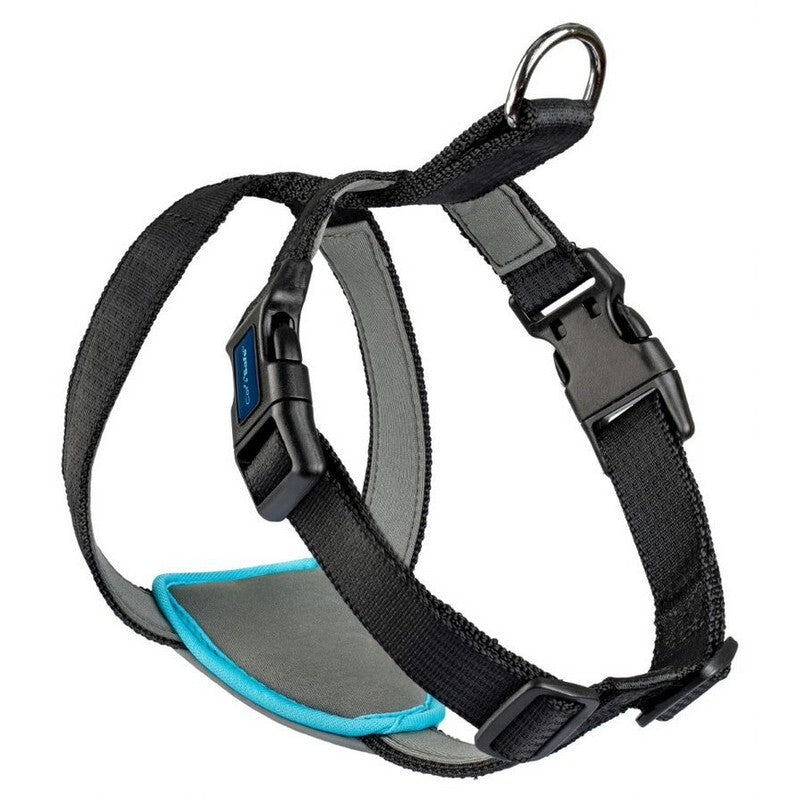 CarSafe Dog Travel Harness Black