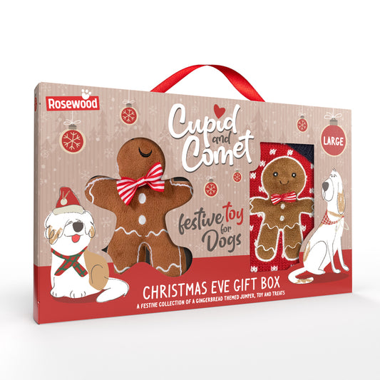 Xmas Christmas Eve Gift Pack L